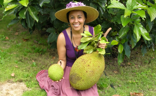 Dr. Noris Ledesma creating a smaller jackfruit