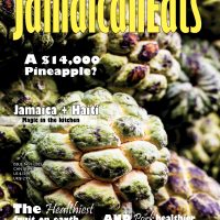 Issue 1, 2025